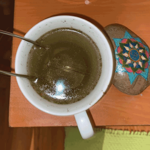 Infusor de Te
